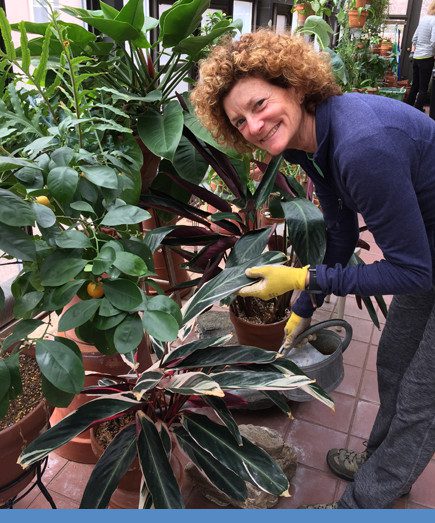 "Residents tell me time and time again how much they love to pass by the greenhouse (actually the ‘bubble windows’) to see what’s new or what’s different. Right now, the orchid cactus is blooming, and our residents are spreading the word quickly to come and admire its amazing beauty.” –Catherine Lyons