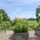Duncaster community garden