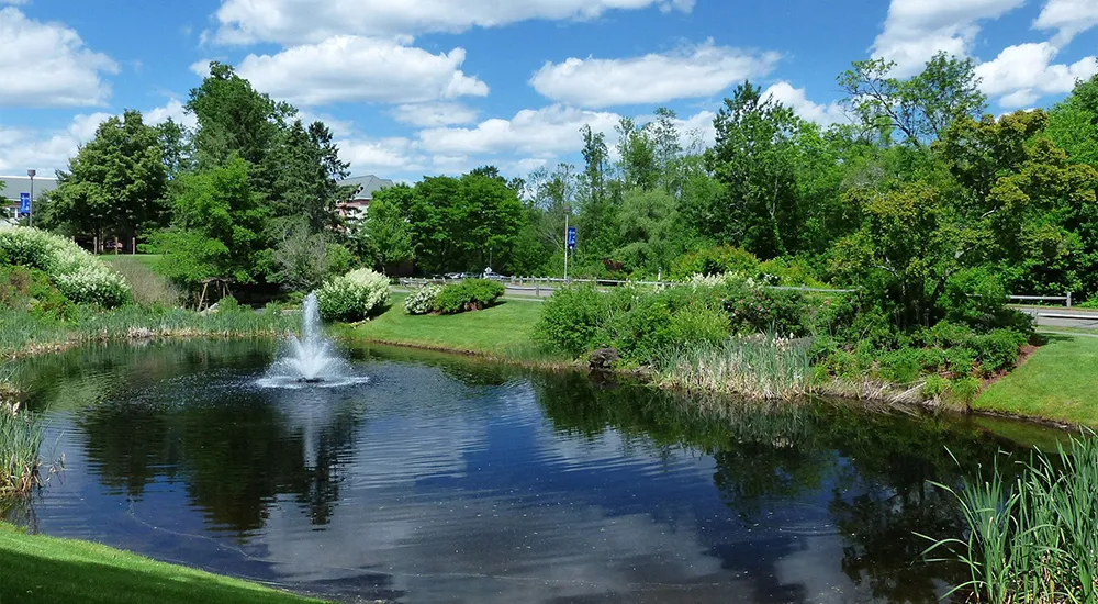 A pond with a fountain